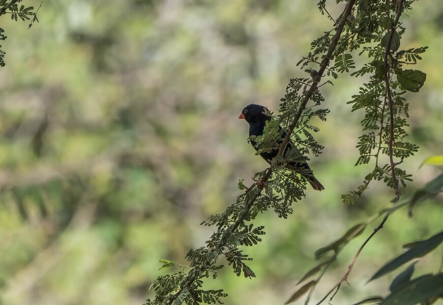 P1312367-Bearbeitet.jpg P1312367-Bearbeitet.jpg