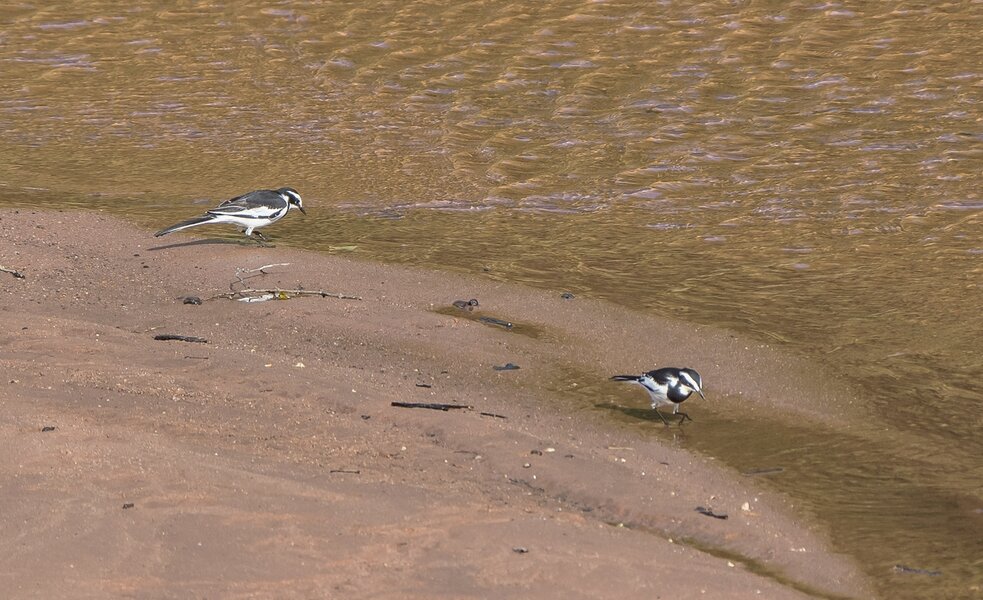 P1312372-Bearbeitet.jpg P1312372-Bearbeitet.jpg