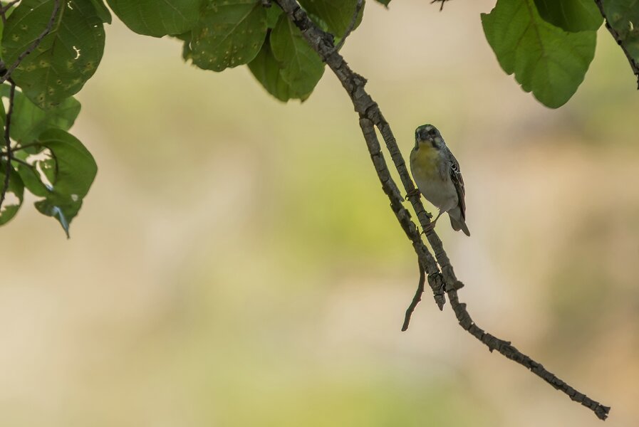 P1312376-Bearbeitet.jpg P1312376-Bearbeitet.jpg