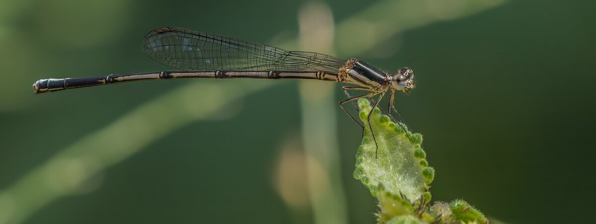 P2012565-Bearbeitet.jpg P2012565-Bearbeitet.jpg