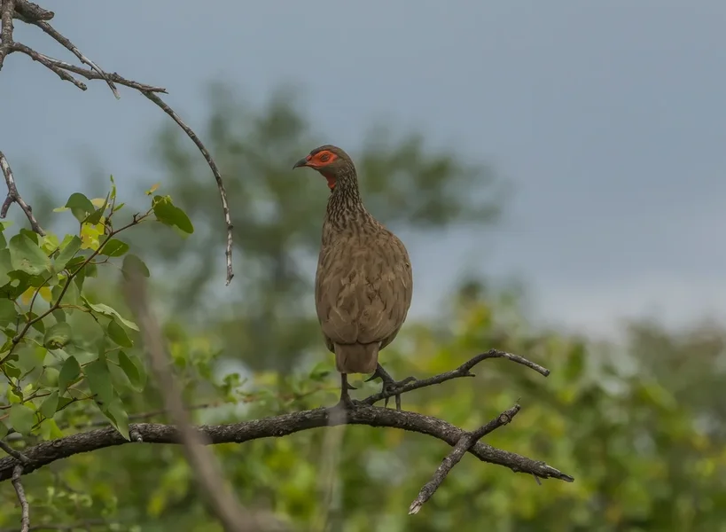 P2012435-Bearbeitet.webp