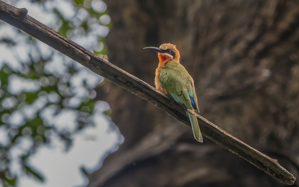 P2012466-Bearbeitet.jpg P2012466-Bearbeitet.jpg