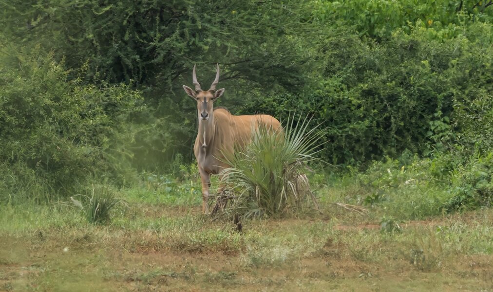 P2012471-Bearbeitet.jpg P2012471-Bearbeitet.jpg