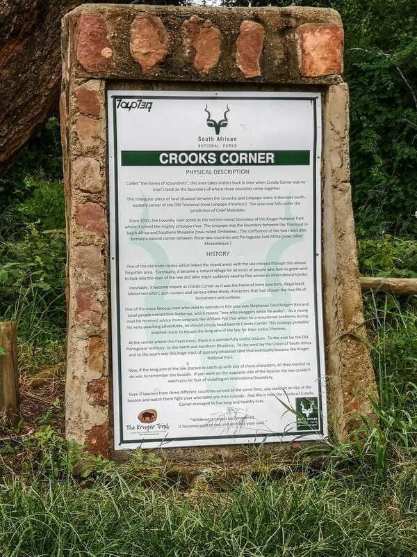 IMG_20240201_112551.jpg IMG_20240201_112551.jpg