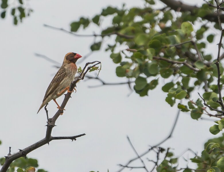 P2012544-Bearbeitet.jpg P2012544-Bearbeitet.jpg