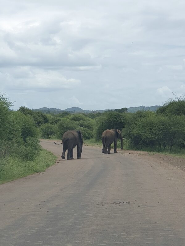 20240201_121320.jpg 20240201_121320.jpg