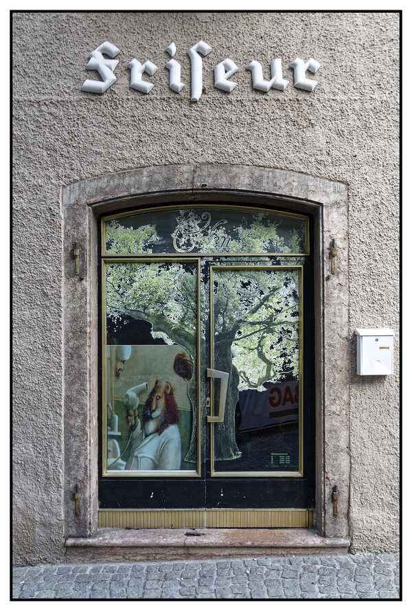 _IGP6497_DxO.jpg _IGP6497_DxO.jpg