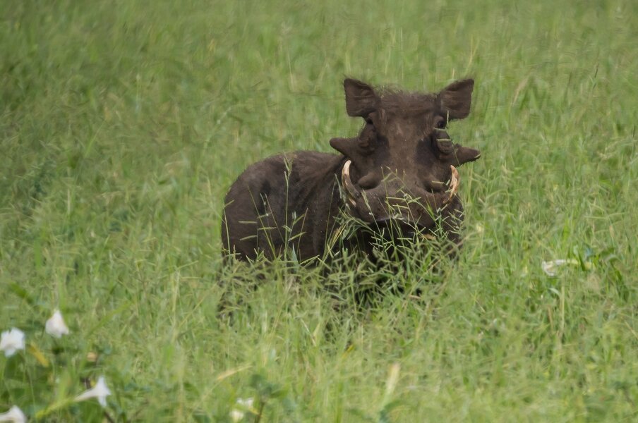 P2022631-Bearbeitet.jpg P2022631-Bearbeitet.jpg