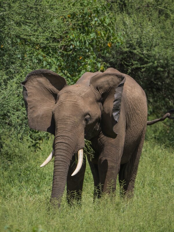 P2022658.jpg P2022658.jpg