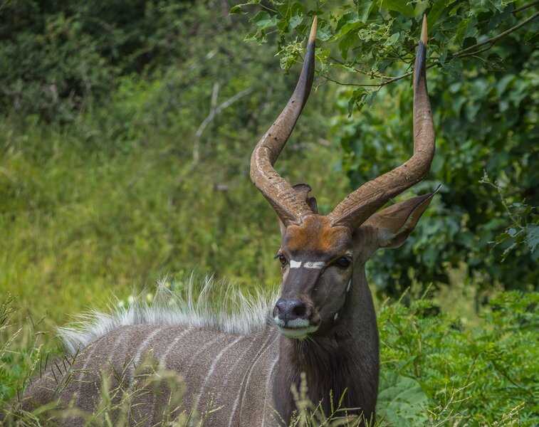 P2022707-Bearbeitet.jpg P2022707-Bearbeitet.jpg