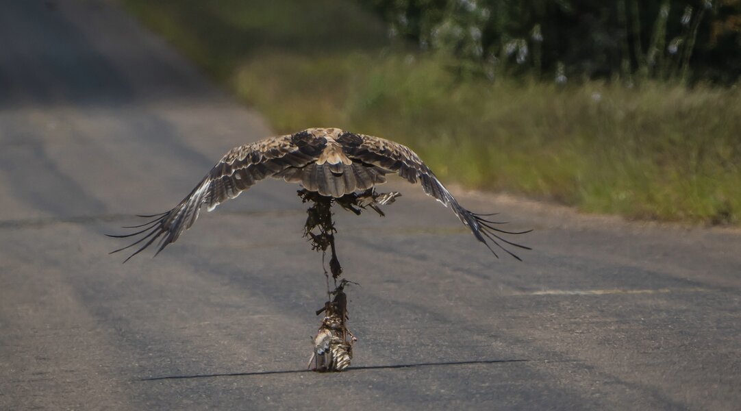 P2022729-Bearbeitet.jpg P2022729-Bearbeitet.jpg