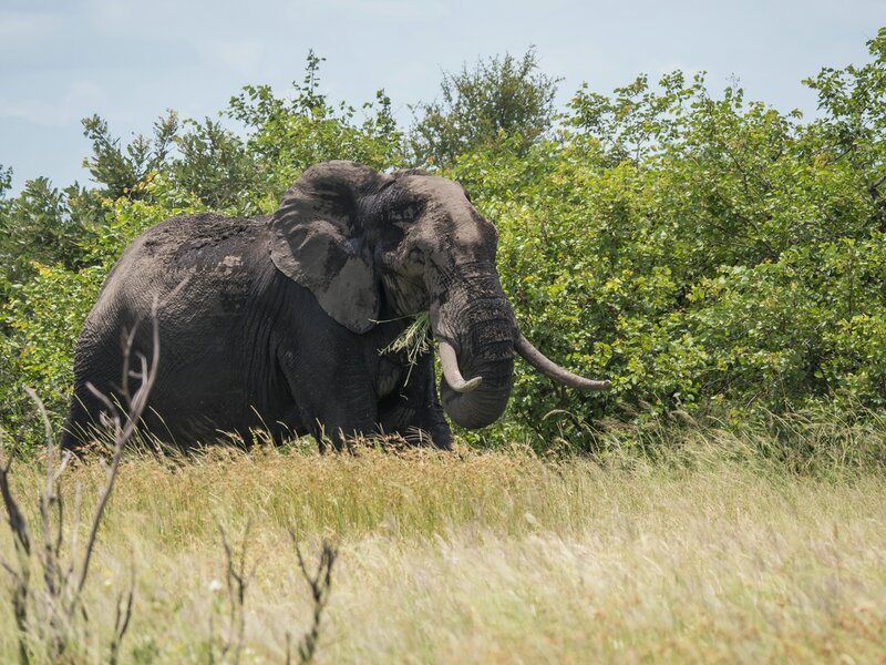 P2022791.jpg P2022791.jpg