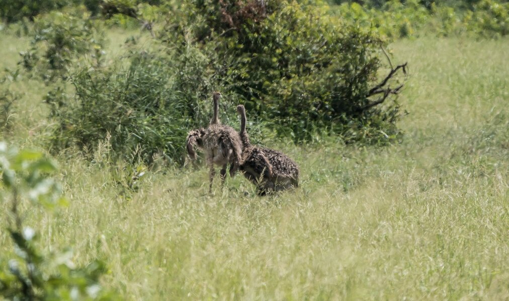 P2022840-Bearbeitet.jpg P2022840-Bearbeitet.jpg