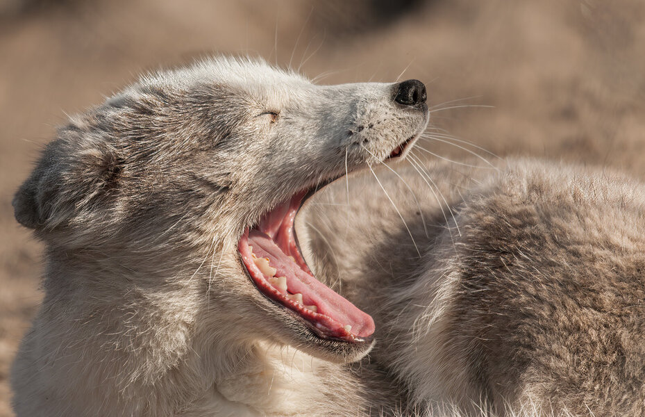 Rotterdam 12.09.09_0019-Verbessert-RR-Bearbeitet.jpg