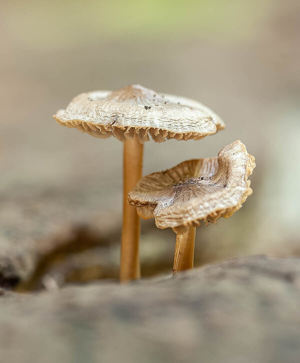 September 2013 (31 von 49)_DxO-Bearbeitet.jpg