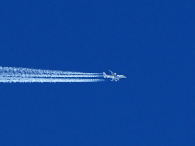 IMGP5108bm.jpg
