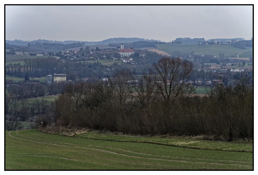 _IMG2084_DxO.jpg