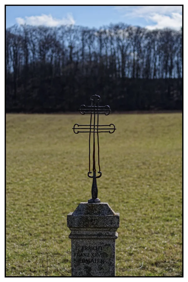 _IMG2145_DxO.webp