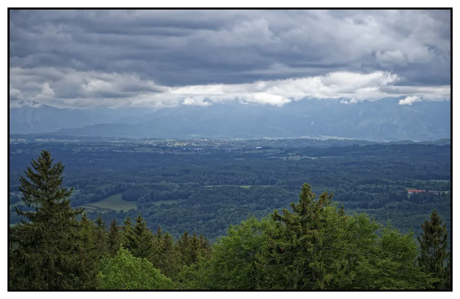 _IMG3524_DxO.webp