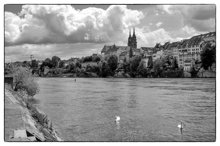 Münster.webp