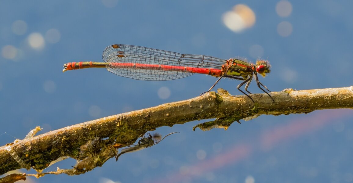 P5130403-Bearbeitet.jpg P5130403-Bearbeitet.jpg