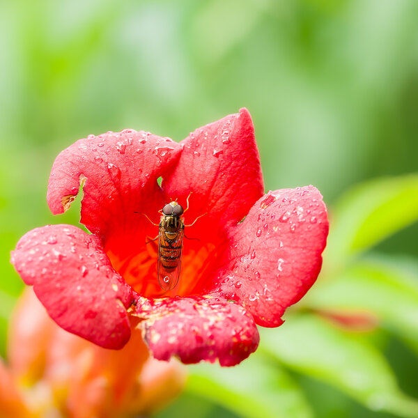 Besuch.jpg Besuch.jpg