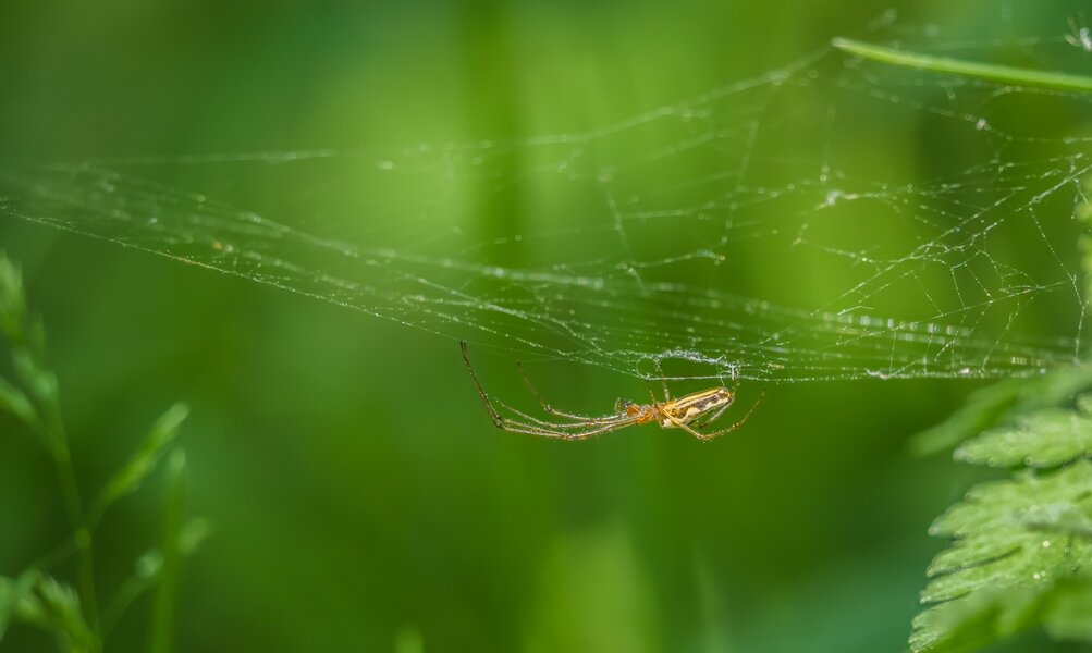 P5130318-Bearbeitet.jpg P5130318-Bearbeitet.jpg