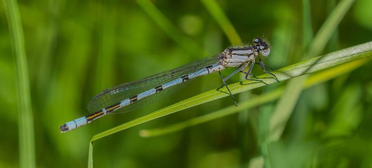 P5130303-Bearbeitet.jpg P5130303-Bearbeitet.jpg