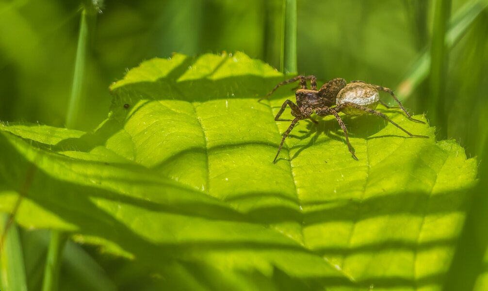 P6140020-Bearbeitet.jpg P6140020-Bearbeitet.jpg
