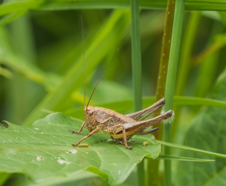 P6140057-Bearbeitet.jpg P6140057-Bearbeitet.jpg