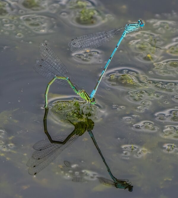 P6140070-Bearbeitet.jpg P6140070-Bearbeitet.jpg