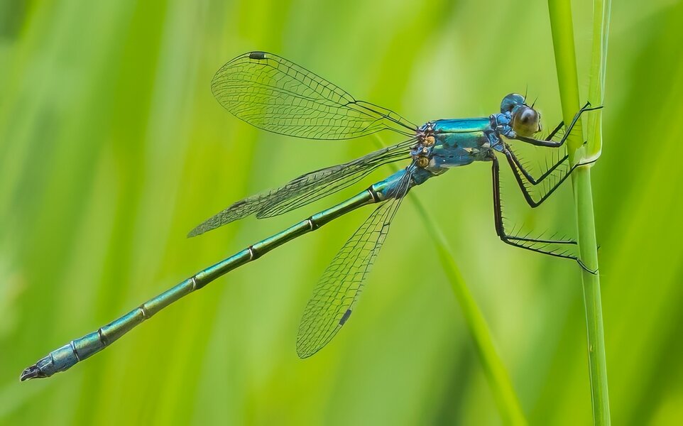 P6140033-Bearbeitet.jpg P6140033-Bearbeitet.jpg