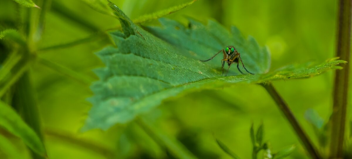 P6140012-Bearbeitet.jpg P6140012-Bearbeitet.jpg