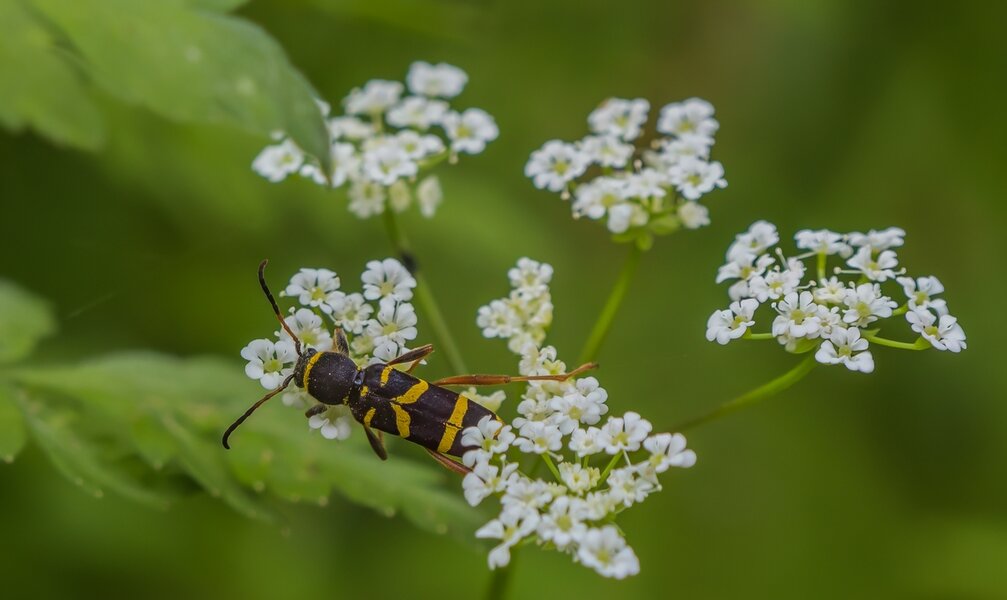 P6140014-Bearbeitet.jpg P6140014-Bearbeitet.jpg