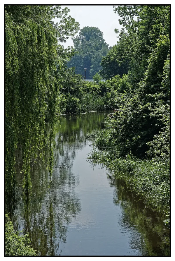 _IGP6851_DxO.webp