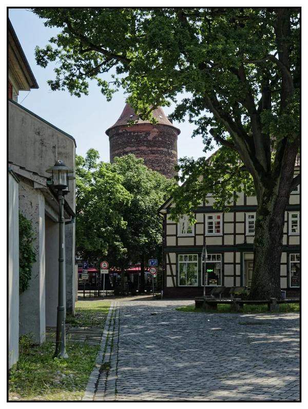 _IGP6856_DxO.webp