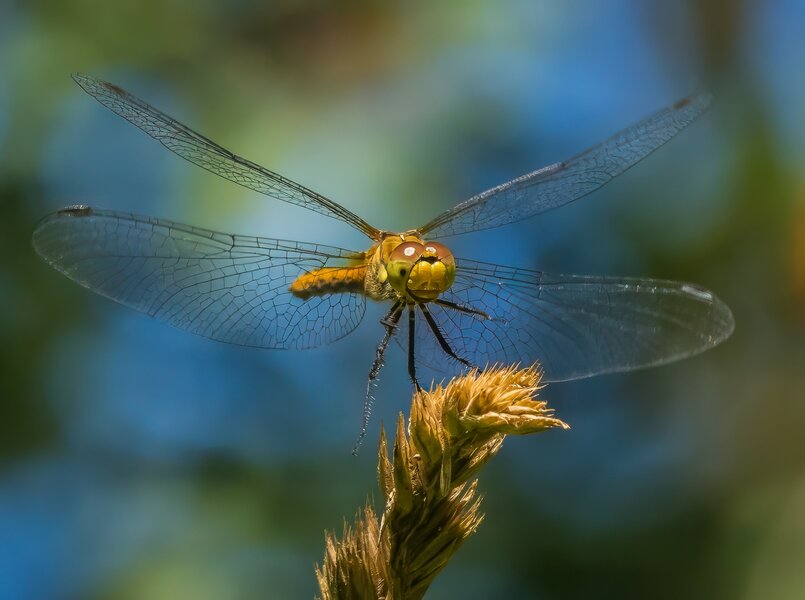 P7090037-Bearbeitet.jpg P7090037-Bearbeitet.jpg