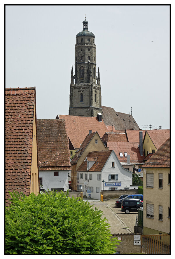 _IGP7168_DxO.jpg