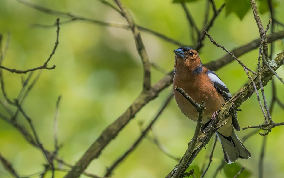 P7090097-Bearbeitet.jpg P7090097-Bearbeitet.jpg