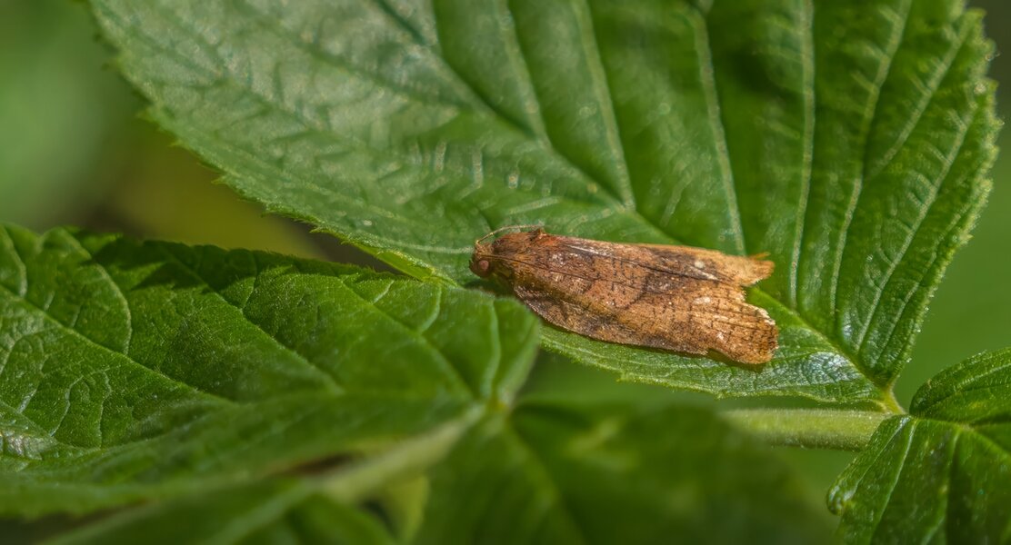 P7090002-Bearbeitet.jpg P7090002-Bearbeitet.jpg