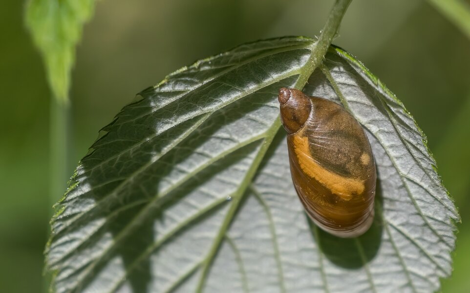 P7090011-Bearbeitet.jpg P7090011-Bearbeitet.jpg