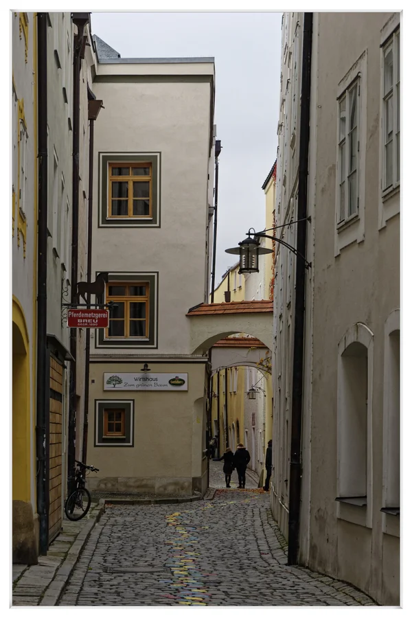 _IGP2993_DxO.webp
