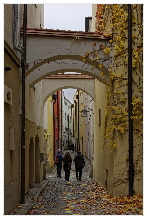 _IGP2997_DxO.webp