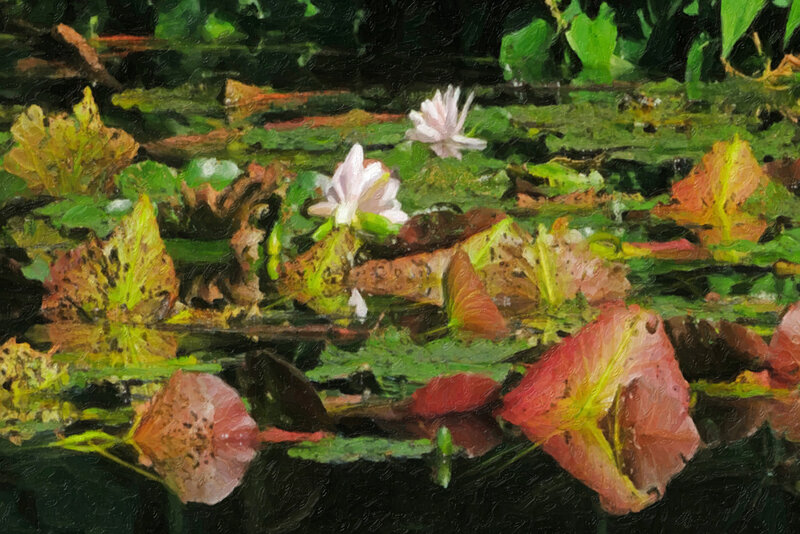 GeheimTeichmSeerosenEINSHELLSL2Si1004002EXTFINFINFIN-Snap Art.jpg