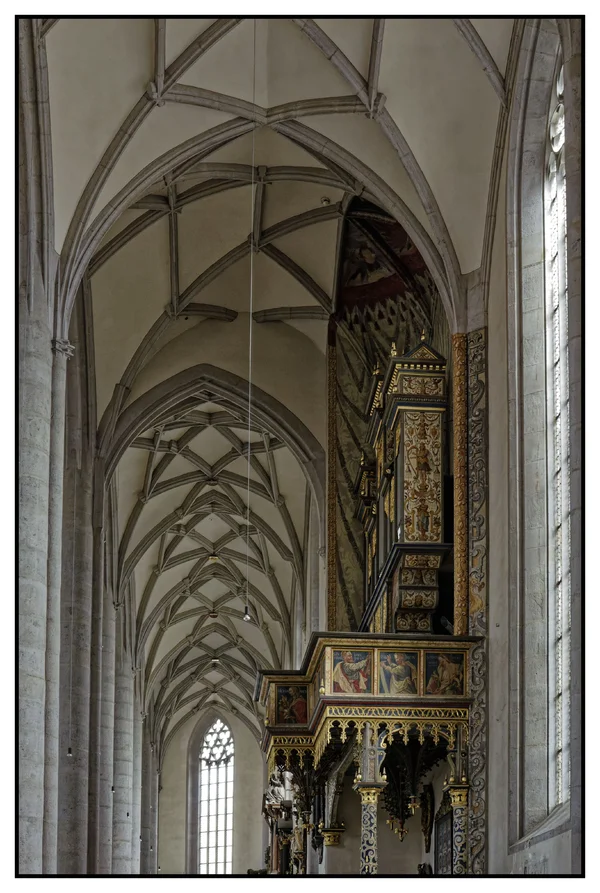 _IGP7273_DxO.webp