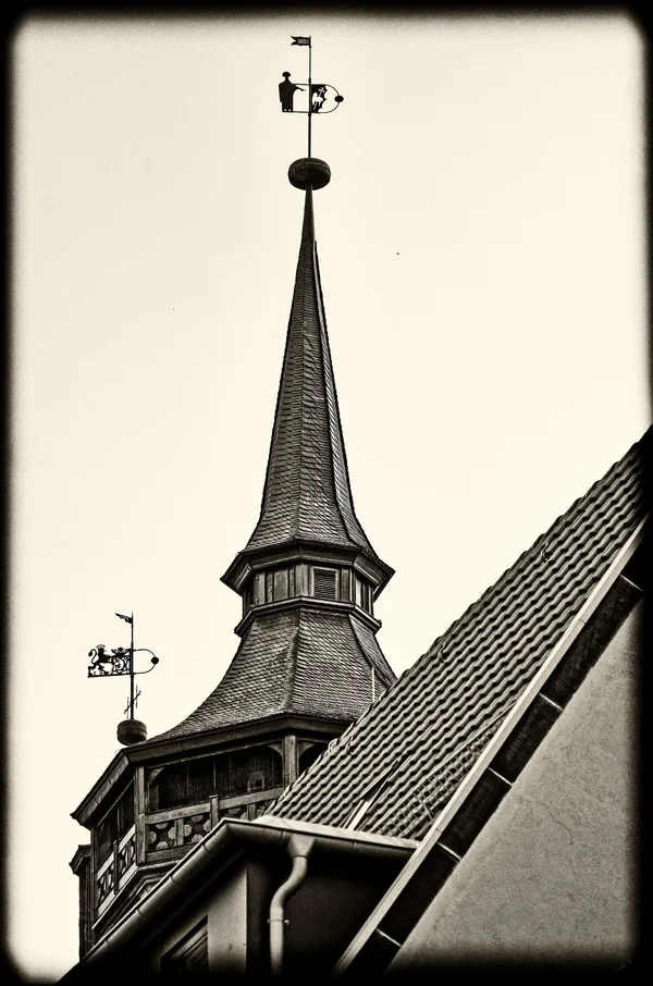_IGP6983_Nik_DxO.webp