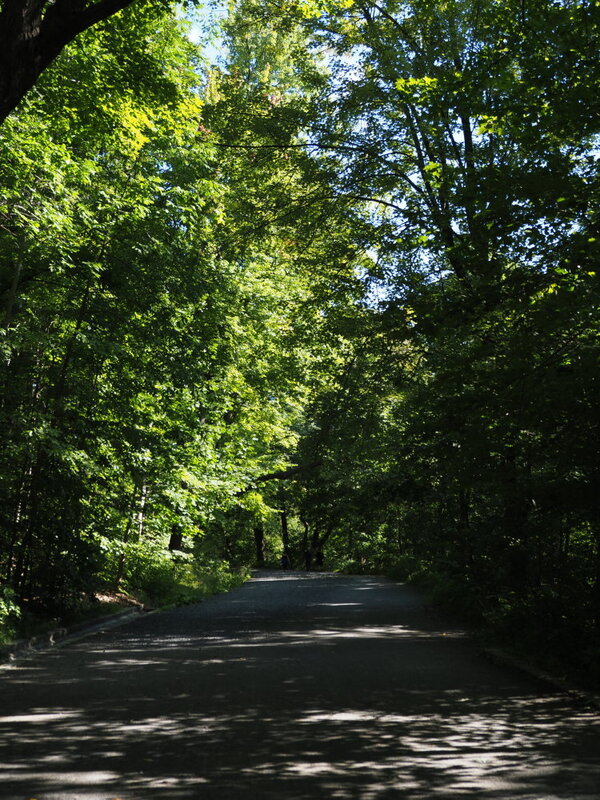 20240830_024542_028.jpg 20240830_024542_028.jpg