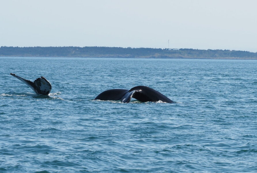 20240906_021134_278.jpg 20240906_021134_278.jpg