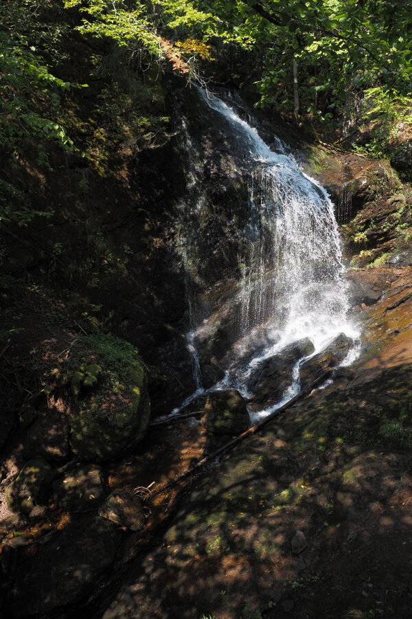 20240912_124512_007.jpg 20240912_124512_007.jpg