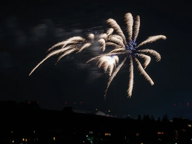 ci_A7407496.webp